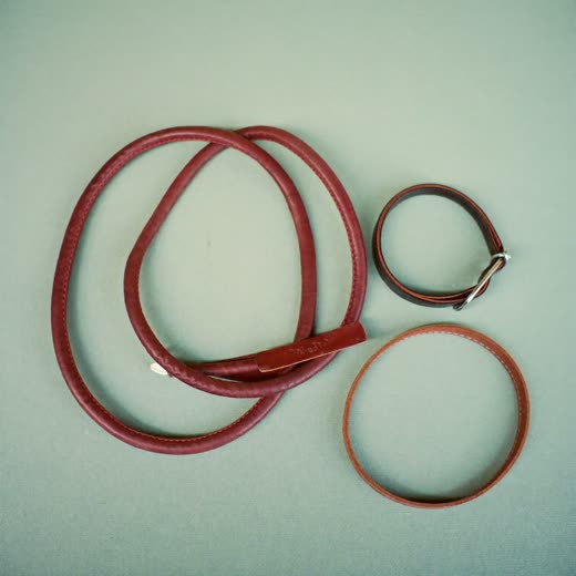 A dog collar and lead